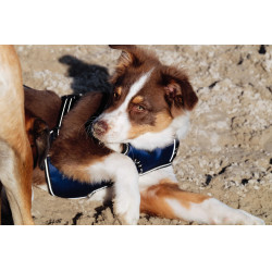 Hondentuig Riding World Simba Marine Marineblauw