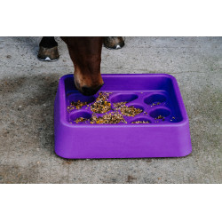 Mangeoire anti-glouton Hippotonic Violet