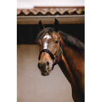 Licol nylon Equithème Jacquard Noir Licol nylon Equithème Jacquard Noir