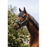 Licol nylon Equithème 3D Mesh Vert Licol nylon Equithème 3D Mesh Vert