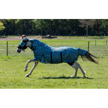 Couverture anti-mouches Zebra Aqua HKM Aqua / noir Couverture anti-mouches Zebra Aqua HKM Aqua / noir