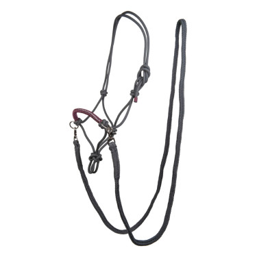 Licol éthologique Strass avec rênes / longes HKM Gris / raisin