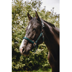 Licol nylon Equithème Protector Vert