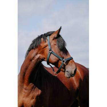 Halster Riding World Cushion Marine Marineblauw Halster Riding World Cushion Marine Marineblauw