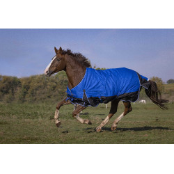 Couverture Equithème Tyrex Aisance 1200D Bleu roi Couverture Equithème Tyrex Aisance 1200D Bleu roi