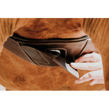 Sangle anatomique Magnet Norton Havane Marron