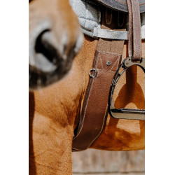 Anatomische singel Magnet Norton Havana Bruin