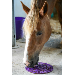 Likit Graze Paste Likpasta