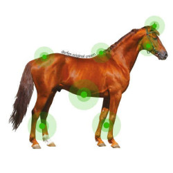 Crème Animaderm Derfen™ Origineel Crème Animaderm Derfen™ Origineel