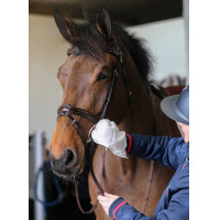 Reinigingshandschoenen Belvoir® Carr & Day & Martin Tack Cleaner Wit Reinigingshandschoenen Belvoir® Carr & Day & Martin Tack Cleaner Wit