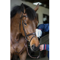 Reinigingshandschoenen Belvoir® Carr & Day & Martin Tack Cleaner Reinigingshandschoenen Belvoir® Carr & Day & Martin Tack Cleaner