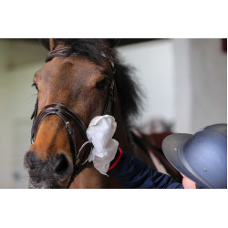 Gants de nettoyage Belvoir® Carr & Day & Martin Tack Cleaner Blanc