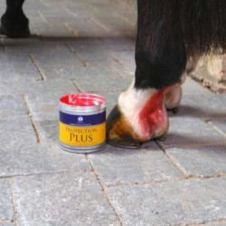 Crème de protection Carr & Day & Martin Protection Plus