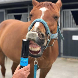 Creme calmante Carr & Day & Martin Wound Cream Creme calmante Carr & Day & Martin Wound Cream