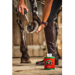 Óleo para cascos Carr & Day & Martin Árvore-do-chá