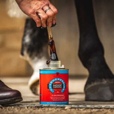 Óleo para cascos Carr & Day & Martin Hoof Dressing Cornucrescine Óleo para cascos Carr & Day & Martin Hoof Dressing Cornucrescine