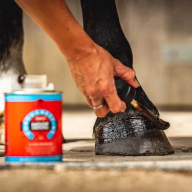 Óleo para cascos Carr & Day & Martin Hoof Dressing Cornucrescine Óleo para cascos Carr & Day & Martin Hoof Dressing Cornucrescine