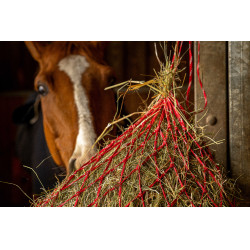 Hooinet Hippotonic Zari Rood / zilverkleurig Hooinet Hippotonic Zari Rood / zilverkleurig