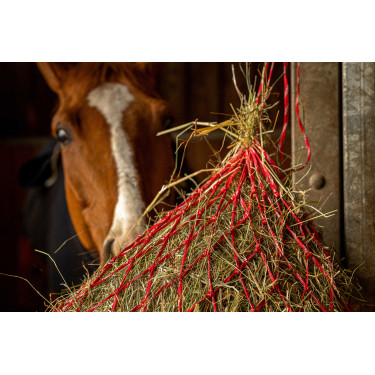 Hooinet Hippotonic Zari Rood / zilverkleurig Hooinet Hippotonic Zari Rood / zilverkleurig