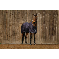 Overhemd Equithème Vague Marineblauw