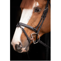 Birdon Oxford Performance Pénélope Noir