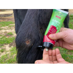 Régénérant Animaderm Cutene