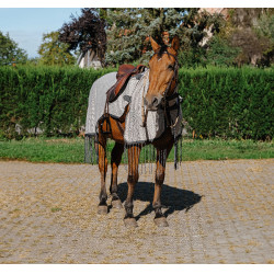 Chemise de travail Riding World anti-mouches Gris