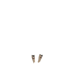 Chaussettes LeMieux Fluffy Character Dream Beige Chaussettes LeMieux Fluffy Character Dream Beige