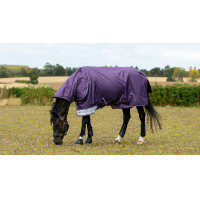 Waterdichte deken LeMieux Arika Ripstop 200g Juniper Violet Waterdichte deken LeMieux Arika Ripstop 200g Juniper Violet
