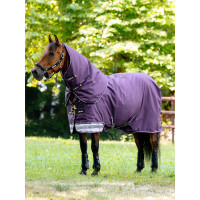 Waterdichte deken LeMieux Arika Ripstop 200g Alpine Bruin Waterdichte deken LeMieux Arika Ripstop 200g Alpine Bruin
