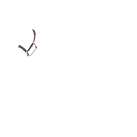 Licol LeMieux Essence Damson Violet Licol LeMieux Essence Damson Violet