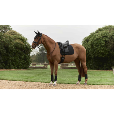 Tapis de dressage LeMieux Essence Square Noir