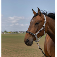 Halster Equithème Nylon Chevron Lichtgrijs