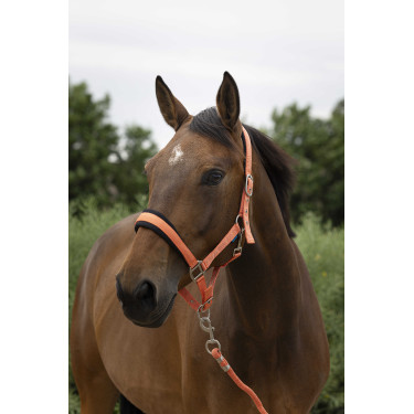 Halster + leadrope Norton Large Koraal Rood Halster + leadrope Norton Large Koraal Rood