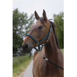 Licol Norton Satine Vert foncé