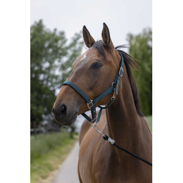 Licol Norton Satine Vert foncé