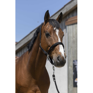 Halster Norton Satijn Zwart Halster Norton Satijn Zwart