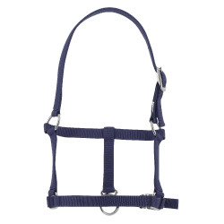 Licol foal Riding World Bleu marine Licol foal Riding World Bleu marine