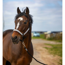 Halster Equithème Nylon Check Zwart / bruin Halster Equithème Nylon Check Zwart / bruin