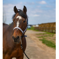 Halster Equithème Nylon Check Marine / bruin Blauw Halster Equithème Nylon Check Marine / bruin Blauw