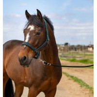 Licol Equithème Nylon Strass Vert Licol Equithème Nylon Strass Vert