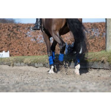 LeMieux Grafter Peesbeschermers LeMieux Grafter Peesbeschermers