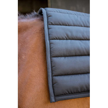 Big Pad Paddock Sports Tapijt Big Pad Paddock Sports Tapijt