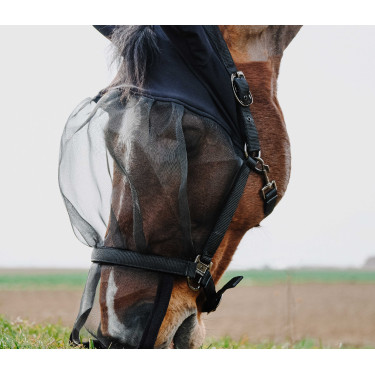 Halster + UV-beschermend masker Equithème Zwart Halster + UV-beschermend masker Equithème Zwart