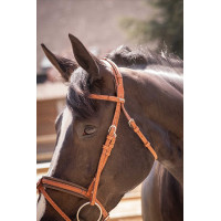 Bridon Pénélope Elégance Cognac Marron Bridon Pénélope Elégance Cognac Marron