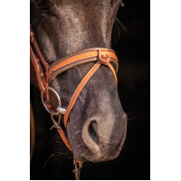 Bridon Pénélope Elegantie Cognac Bruin