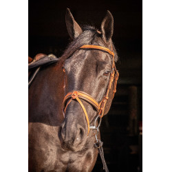 Bridon Pénélope Elégance Cognac Marron