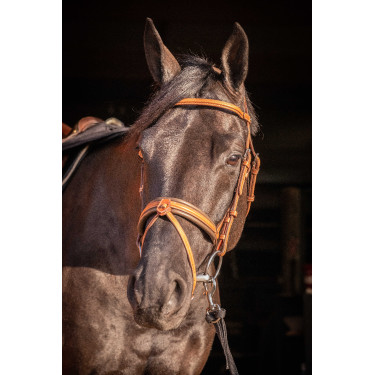 Bridon Pénélope Elégance Cognac Marron Bridon Pénélope Elégance Cognac Marron