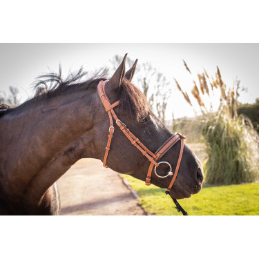 Bridon Pénélope Elégance Cognac Marron Bridon Pénélope Elégance Cognac Marron