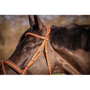 Bridon Pénélope Elégance Cognac Marron Bridon Pénélope Elégance Cognac Marron